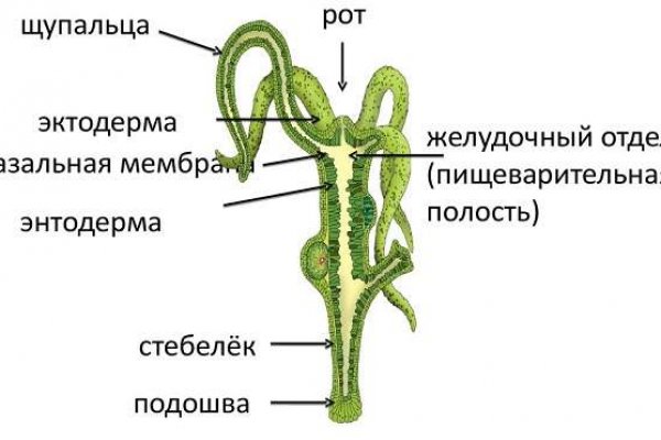 Что случилось с кракеном маркетплейс